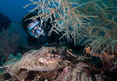 11 Best Climate Change Charities in US, Canada, UK, and Australia