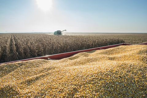 10 Famous Corporate Whistleblowers in Publicly-Traded Companies