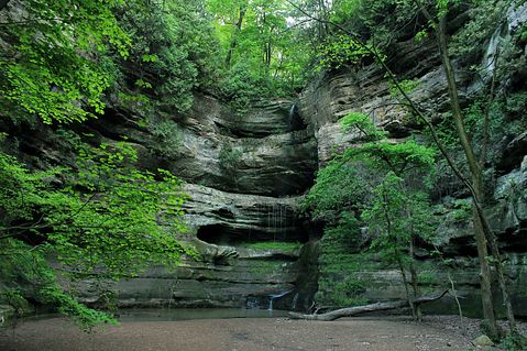 Illinois Starved rock state park, wilderness