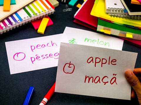 7 Easiest Languages To Learn For Spanish, Chinese and Arabic Speakers