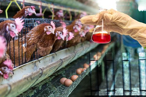 25 Best States For Agricultural Inspectors