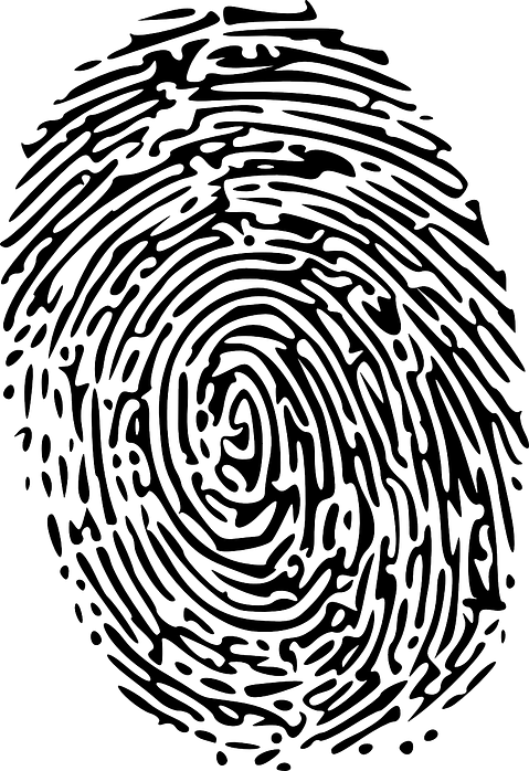 25 Best States For Detectives and Criminal Investigators 