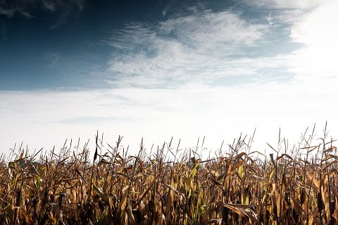 25 Best States For Agricultural Inspectors