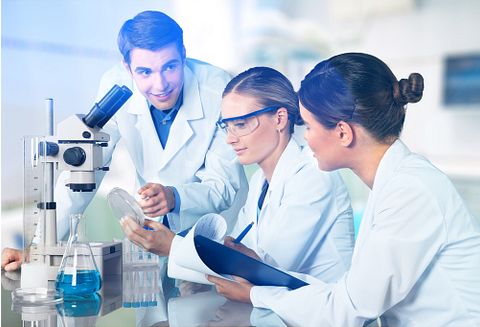 Charles River Laboratories International, Inc. (CRL) Gains on Strong Results and Resilient Drug Outsourcing Demand