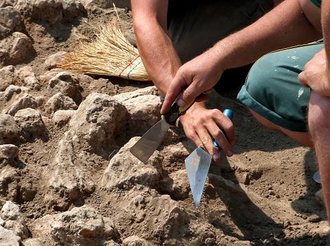 11 Best Master's Degrees for the Future 