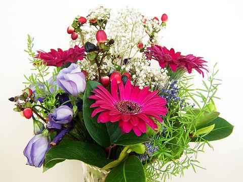 Countries that Export the Most Cut Flowers in the World