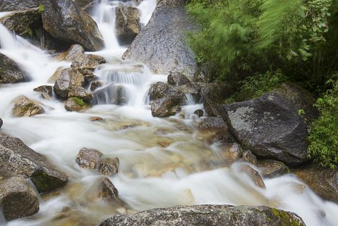 LIUSHENGFILM/Shutterstock.com 