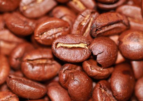 10 Best Tasting Highest Rated Coffee Beans in The World