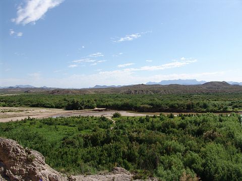 big-bend-national-park-Texas-forest