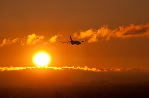 studioMATYSKA.com/Shutterstock.com 