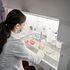 10 Best Gene Therapy Stocks to Buy in 2026
