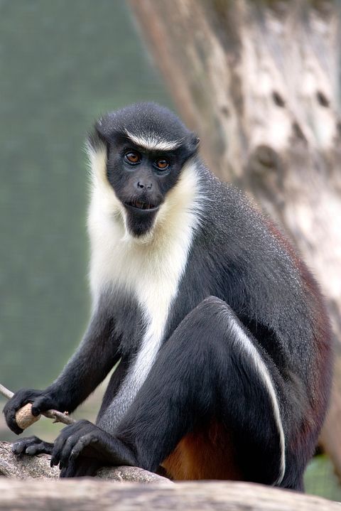 Alan Jeffery/Shutterstock.com 