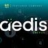 Alternus Clean Energy Relaunches as Aedis Energy, Building a Scalable Platform for Onsite Power