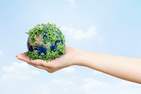 20 Most Sustainable Companies in the US