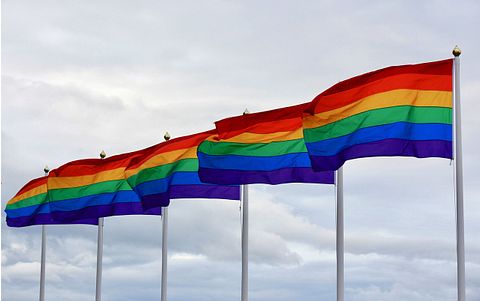 Country with the Highest Approval of Same Sex Marriage