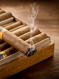10 Best Tasting Cigars for the Money