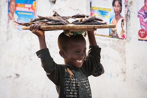 11 Countries that Eat the Least Meat in the World