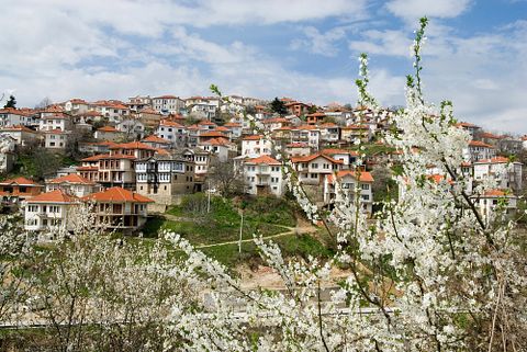 vlas2000/Shutterstock.com