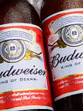 15 Largest Beer Companies in the World