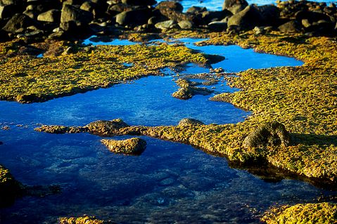 Douglas Greenwald/Shutterstock.com