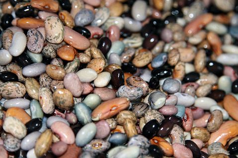 11 Most Common Food Allergies in Adults 