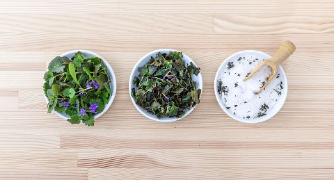 Popular Green Business Ideas with Low Investment