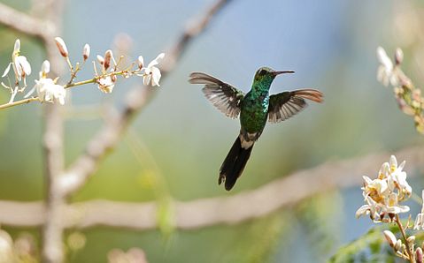 Sergey Uryadnikov/Shutterstock.com