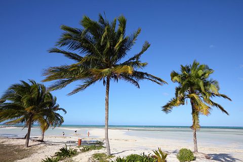 Tupungato/Shutterstock.com