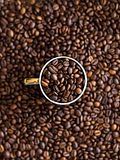 5 Best Coffee Beans for Beginners