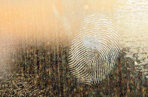 25 Best States for Forensic Science Technicians