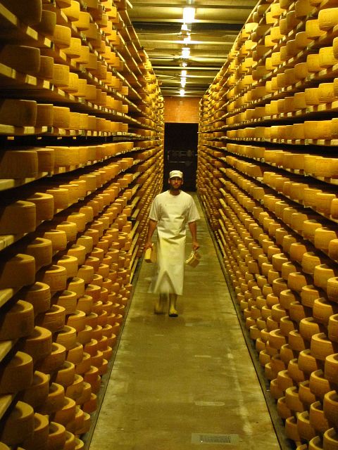 10 Countries that Export the Most Cheese in the World 