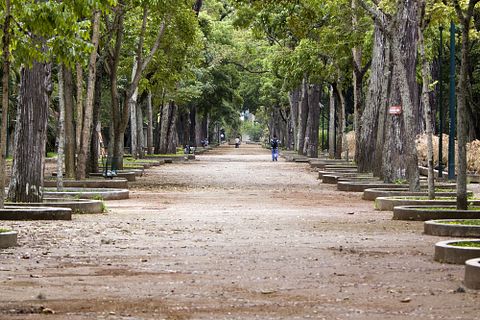 Tomasz Pado/Shutterstock.com 