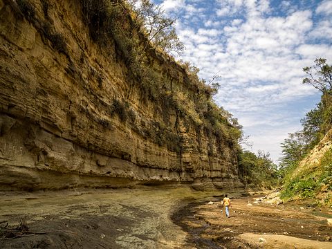 Toni Tejon/Shutterstock.com 
