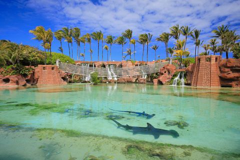 Worachat Sodsri/Shutterstock.com 