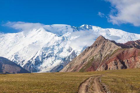 Aleksandr Sadkov/Shutterstock.com 