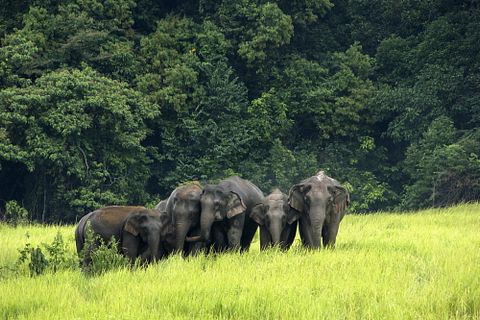 Best Places To See in Thailand Before You Die