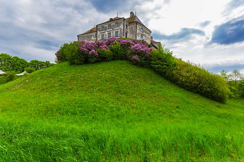 Yuriy Kulik/Shutterstock.com 