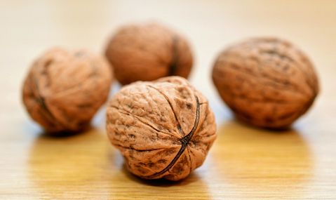 Countries that Produce the Most Walnuts in the World