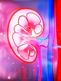 8 Best Countries For Kidney Transplant