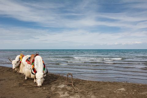 long8614/Shutterstock.com 