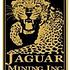 Jaguar Mining Inc (USA) (JAG): Insiders Aren't Crazy About It