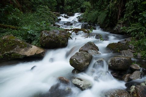 carloshod/Shutterstock.com 