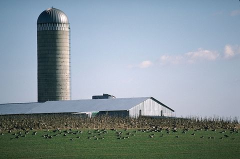 Best Places to Retire in Maryland