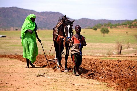 11 Worst Countries for Gender Equality