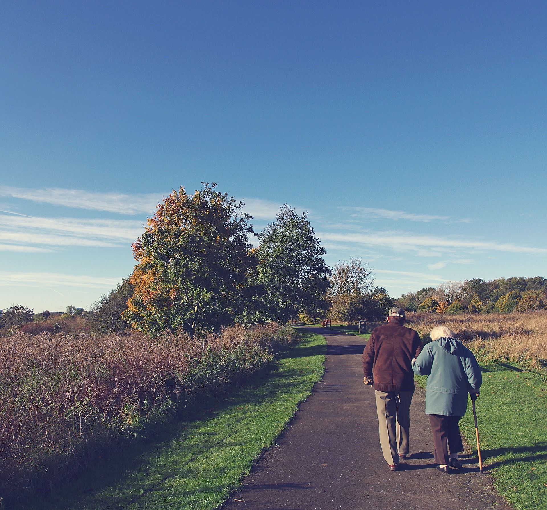 Dividend Stock Portfolio for Retirement: Top 12 Dividend Picks for Reliable Income