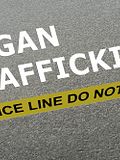 10 Black Market Organ Trade and Trafficking Facts, Statistics, and Stories