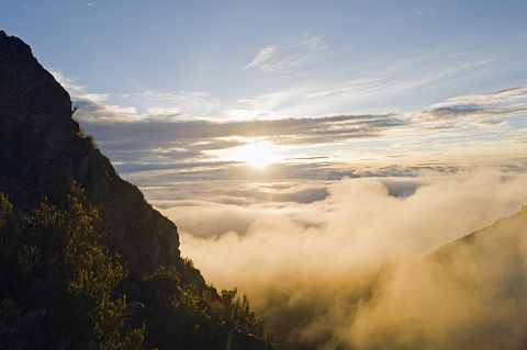 christian kober/Shutterstock.com