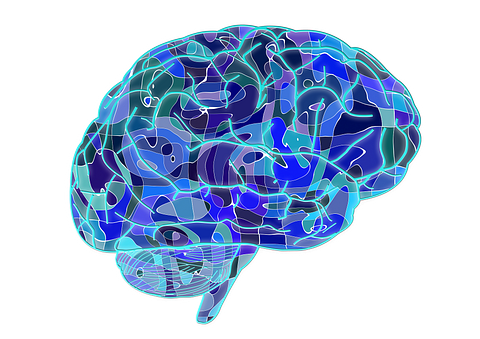 brain-951874_1920 5 Most Obscure Programming Languages 