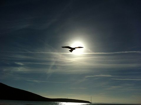 los-cabos-68861_1280