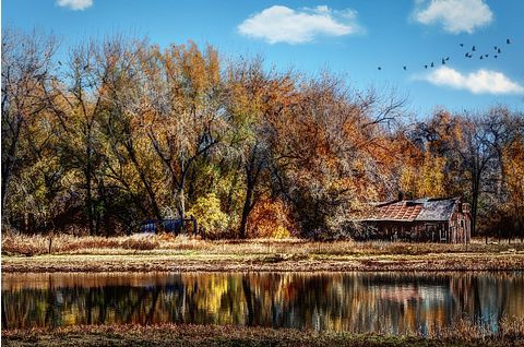 colorado-rural-fall-ranch-cabin-stream-water